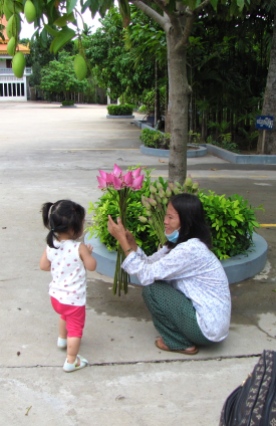 Baby Naly and the lotus offering - Wat Champuh Ka'ek, Kandal